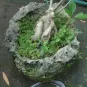 morepic-3